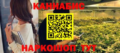 прущие крисы Шелехов